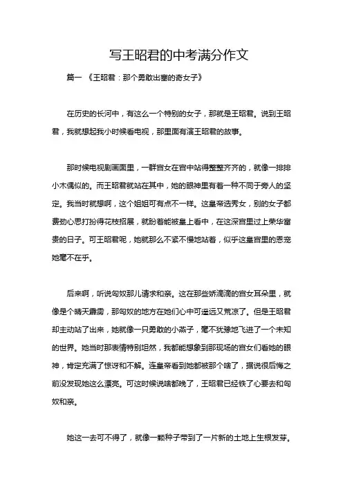 写王昭君的中考满分作文