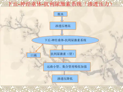 外科学课件-外科病人的水体液平衡-PPT课件