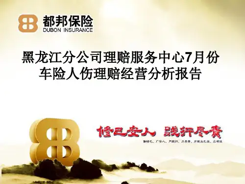 车险人伤理赔经营分析报告