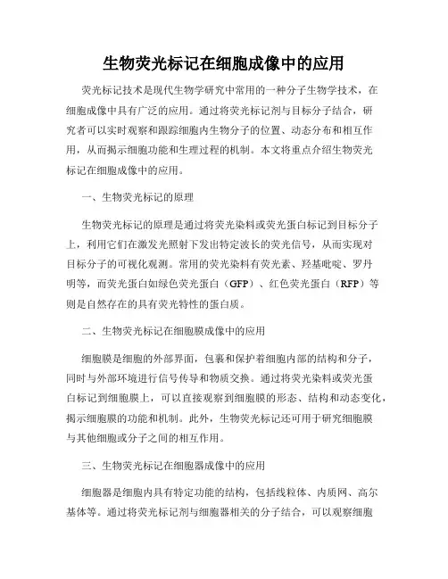 生物荧光标记在细胞成像中的应用