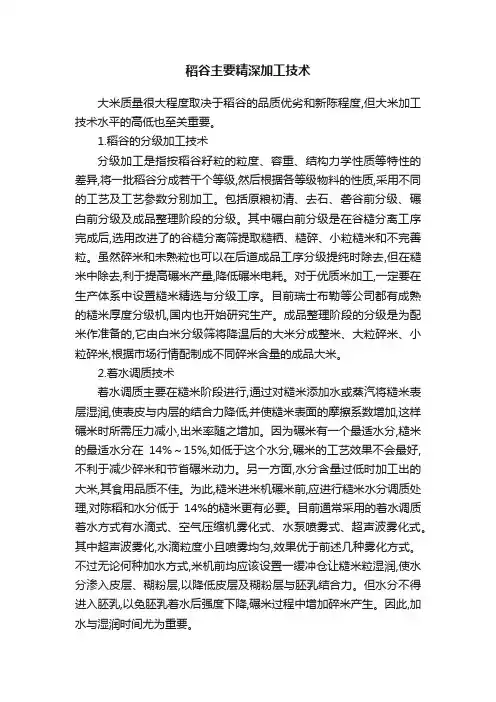 稻谷主要精深加工技术