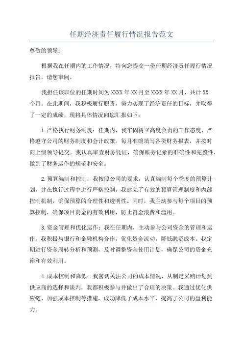 任期经济责任履行情况报告范文