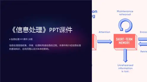 《信息处理》课件