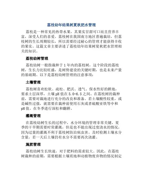 荔枝幼年结果树夏秋肥水管理