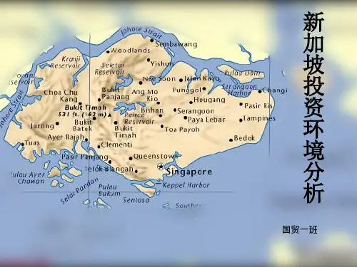 国际投资环境分析.新加坡