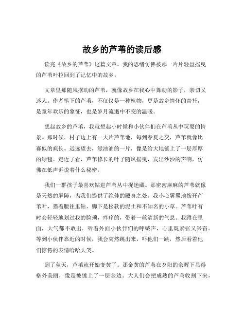 故乡的芦苇的读后感