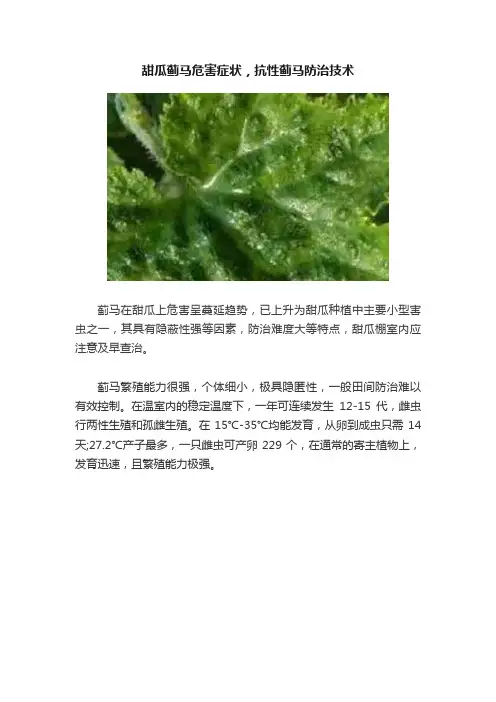 甜瓜蓟马危害症状，抗性蓟马防治技术