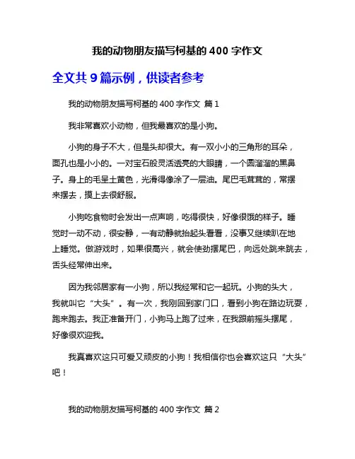我的动物朋友描写柯基的400字作文