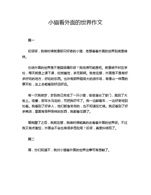 小猫看外面的世界作文