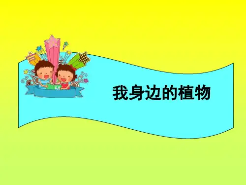 《我身边的植物》PPT