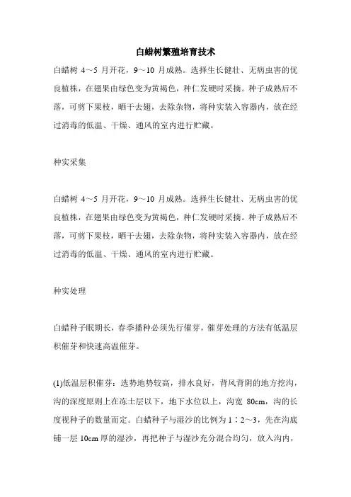 白蜡树繁殖培育技术