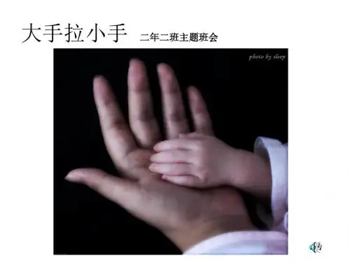 小手拉大手班会课件