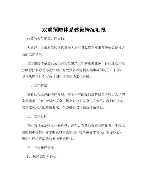 双重预防体系建设情况汇报
