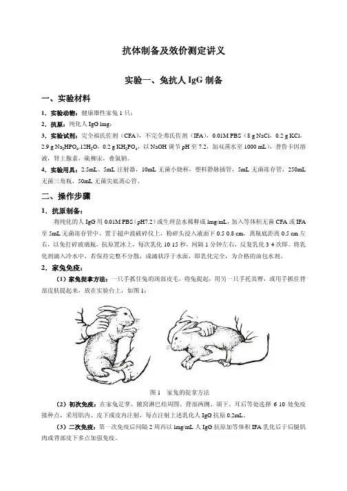 抗体制备及效价测定讲义