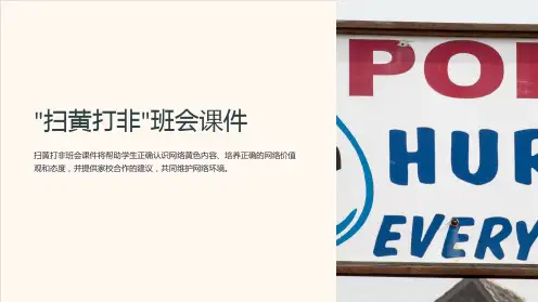 ”扫黄打非“班会课件