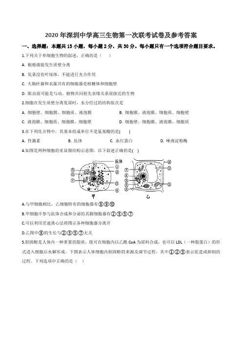 2020年深圳中学高三生物第一次联考试卷及参考答案