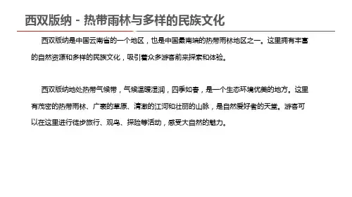 西双版纳 - 热带雨林与多样的民族文化