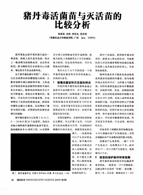 猪丹毒活菌苗与灭活苗的比较分析