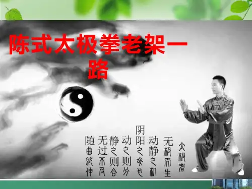 陈式太极拳老架一路(图文详解超经典)