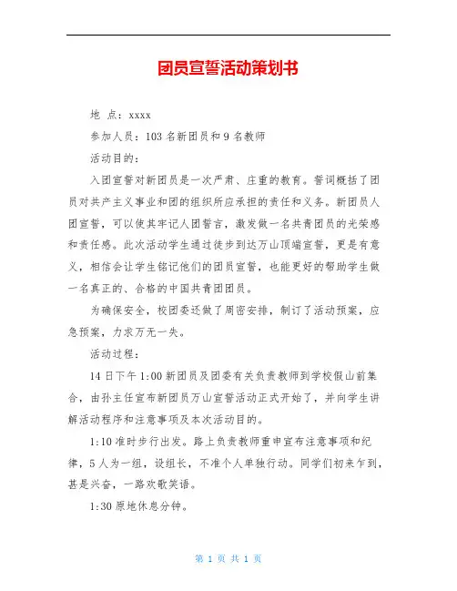 团员宣誓活动策划书