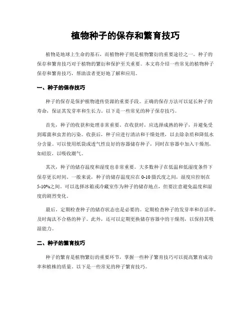 植物种子的保存和繁育技巧