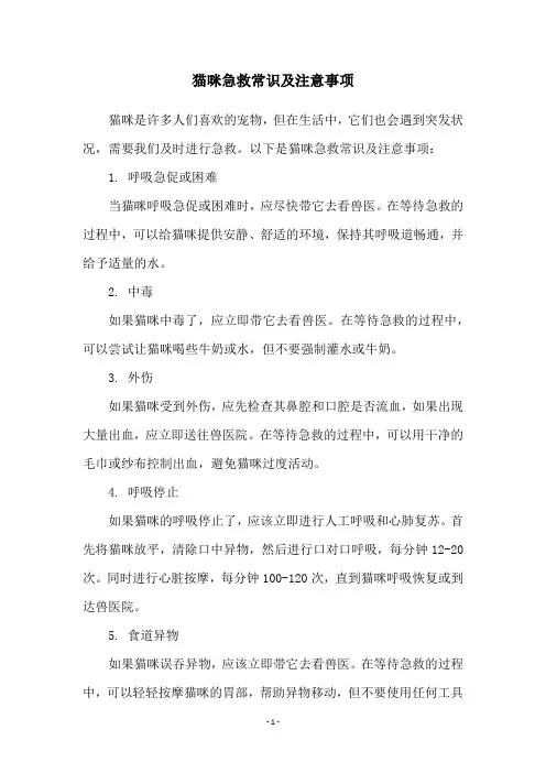 猫咪急救常识及注意事项