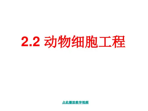 动物细胞培养和核移植技术(上课用)