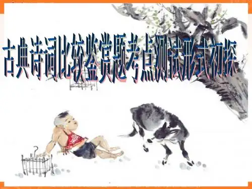 高考语文专题复习课件：古典诗词比较鉴赏题考点精讲[共27张]