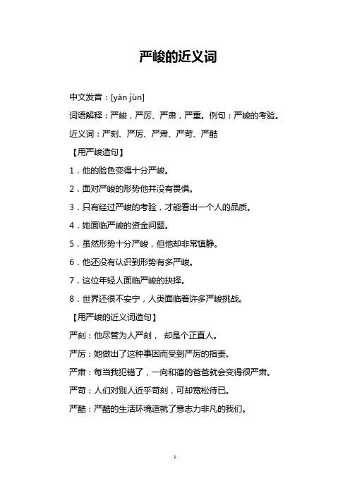 严峻的近义词