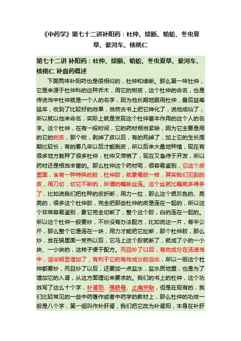 《中药学》第七十二讲补阳药：杜仲、续断、蛤蚧、冬虫夏草、紫河车、核桃仁