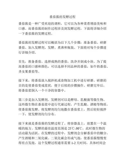 番茄酱的发酵过程