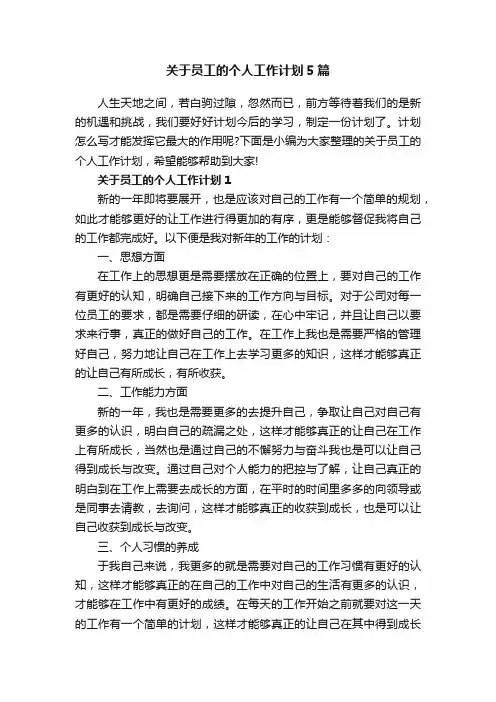 关于员工的个人工作计划5篇