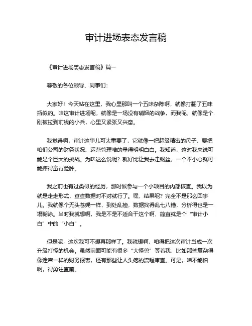 审计进场表态发言稿