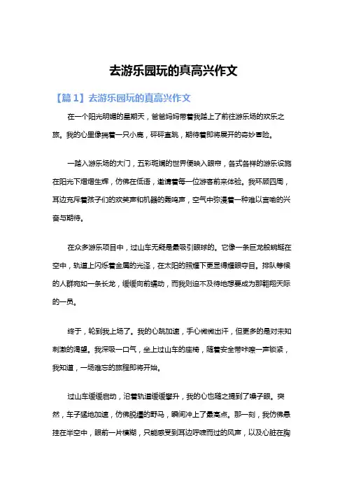 去游乐园玩的真高兴作文
