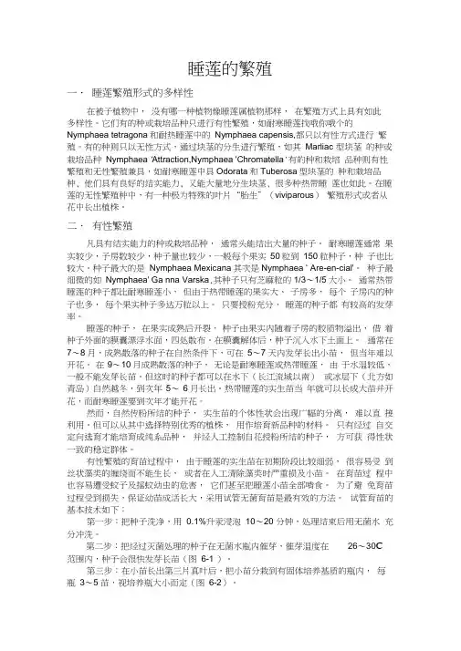 睡莲的繁殖