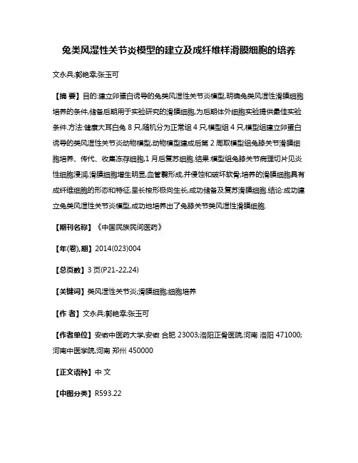 兔类风湿性关节炎模型的建立及成纤维样滑膜细胞的培养