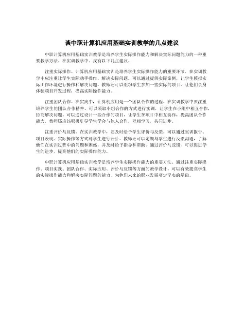 谈中职计算机应用基础实训教学的几点建议