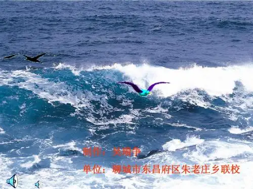 11、赶海课件