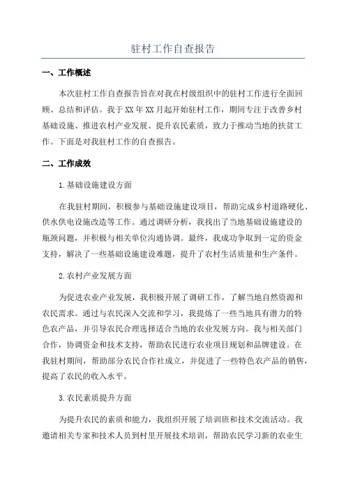 驻村工作自查报告