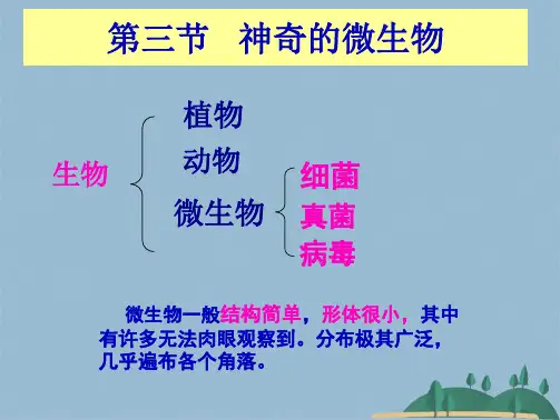  生物的多样性第十四章 丰富多彩的生物世界》第三节 神奇的微生物(共26张PPT)