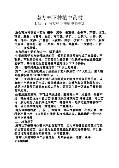 南方林下种植中药材