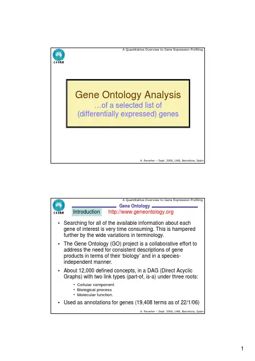 Gene Ontology使用说明