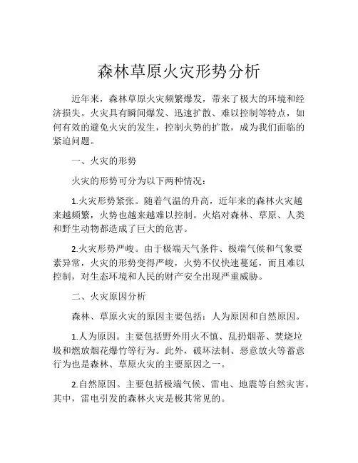 森林草原火灾形势分析