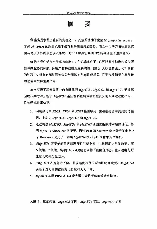 稻瘟病菌相关致病基因mgatg3、mgatg4和mgatg7的克隆和功能分析