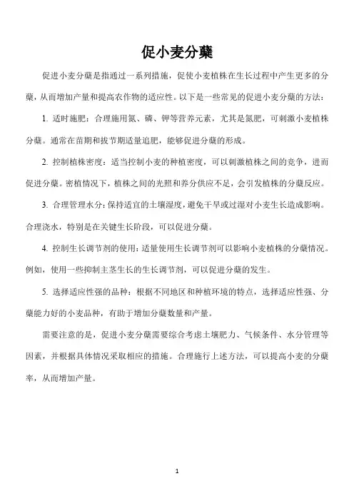 促小麦分蘖