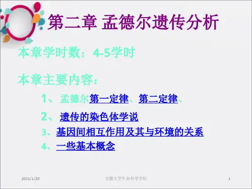 遗传学经典课件第02章孟德尔遗传分析