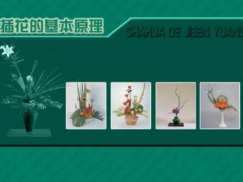 插花艺术第二章
