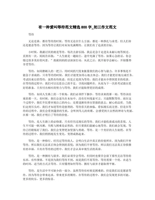 有一种爱叫等待范文精选800字_初三作文范文