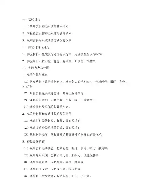 脑神经系统实验实训报告