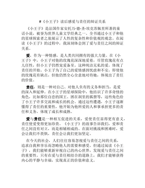 《小王子》读后感爱与责任的辩证关系 (2)